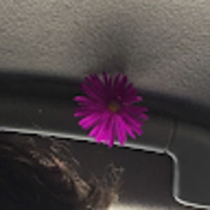 Meet your Posher, Mia